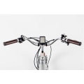 2019 новая модель городского электрического велосипеда с Shimano Acera-7speed En15194